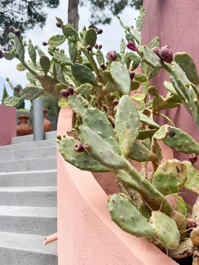 Villa San Lorenzo Capitana Dış mekan fotoğraf